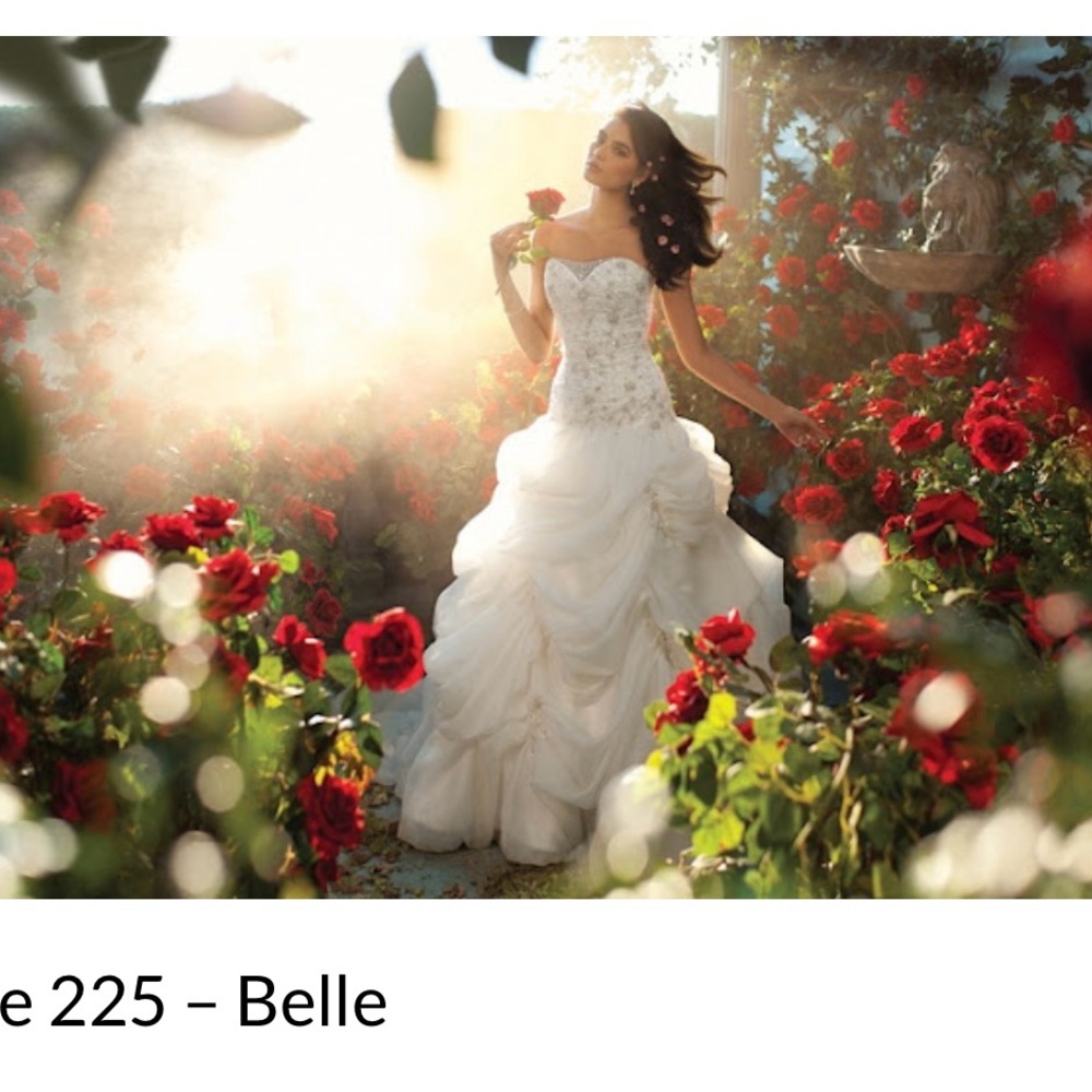 Alfred Angelo 2013 Belle (style 255) wedding dress